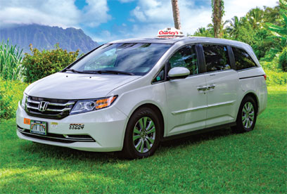 Minivan Taxi. Capacity up to 4 people with 1 checked bag and 1 carry-on each.