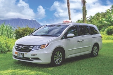 Minivan Taxi. Capacity up to 4 people with 1 checked bag and 1 carry-on each.