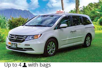 HomepageSlider_Minivan